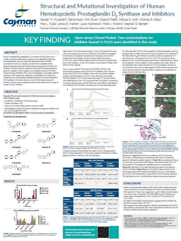 <p>Structural and Mutational Investigation of Human Hematopoietic Prostaglandin D<sub>2</sub> Synthase and Inhibitors<br></p>